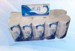 日常用品 提升生活品質的全方位選擇